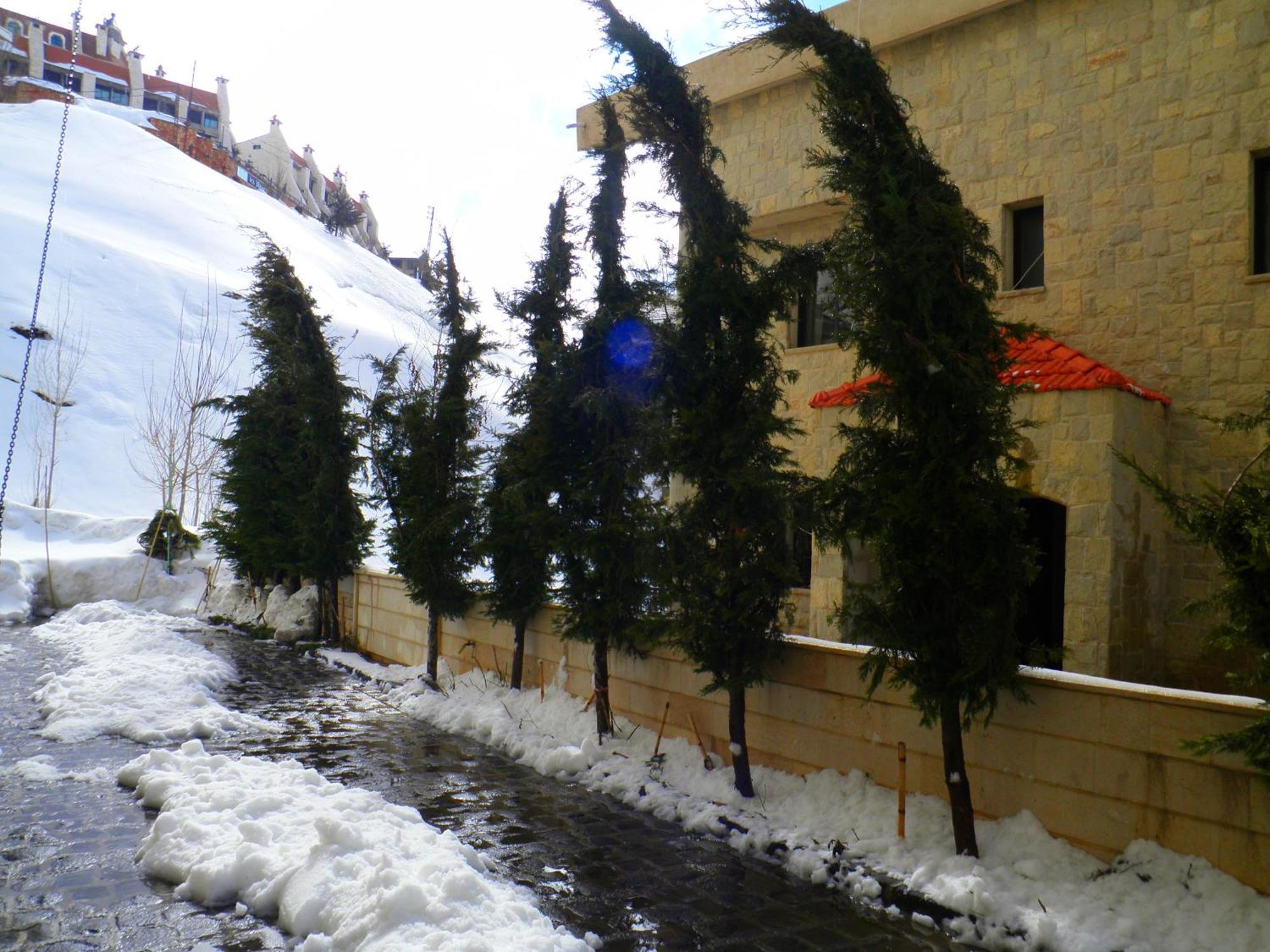 Stone Chalets Fārayyā Exteriör bild