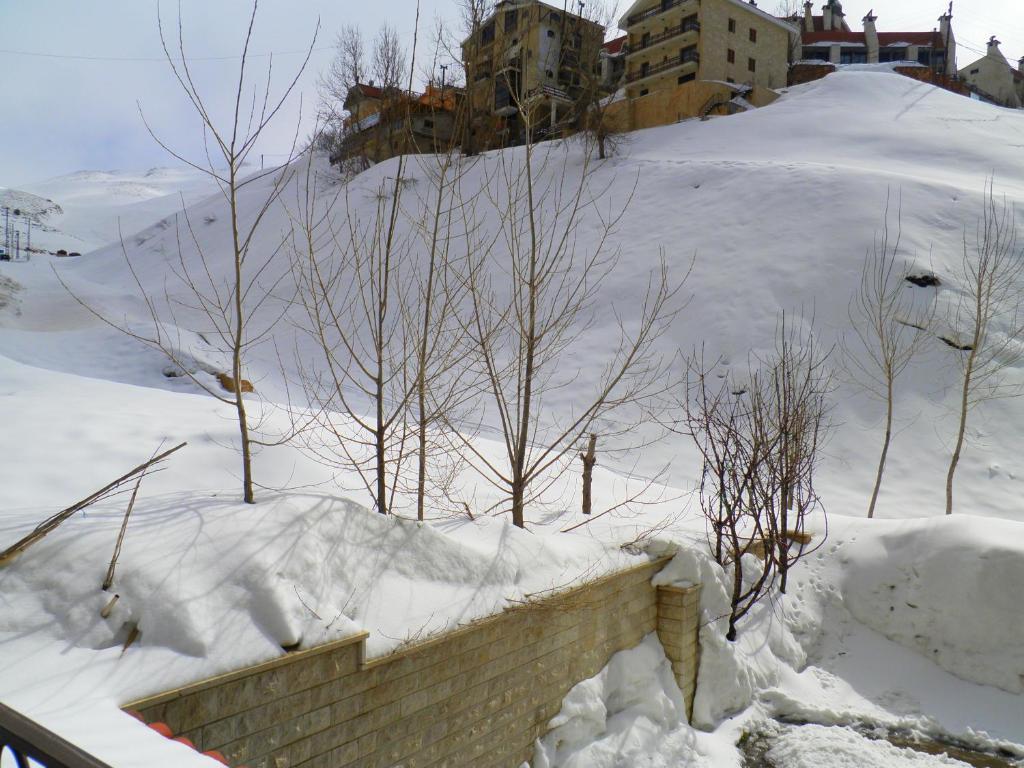 Stone Chalets Fārayyā Rum bild